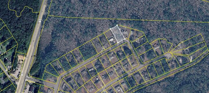 Property Photo:  324 E E. Poplar Branch Drive  SC 29461 