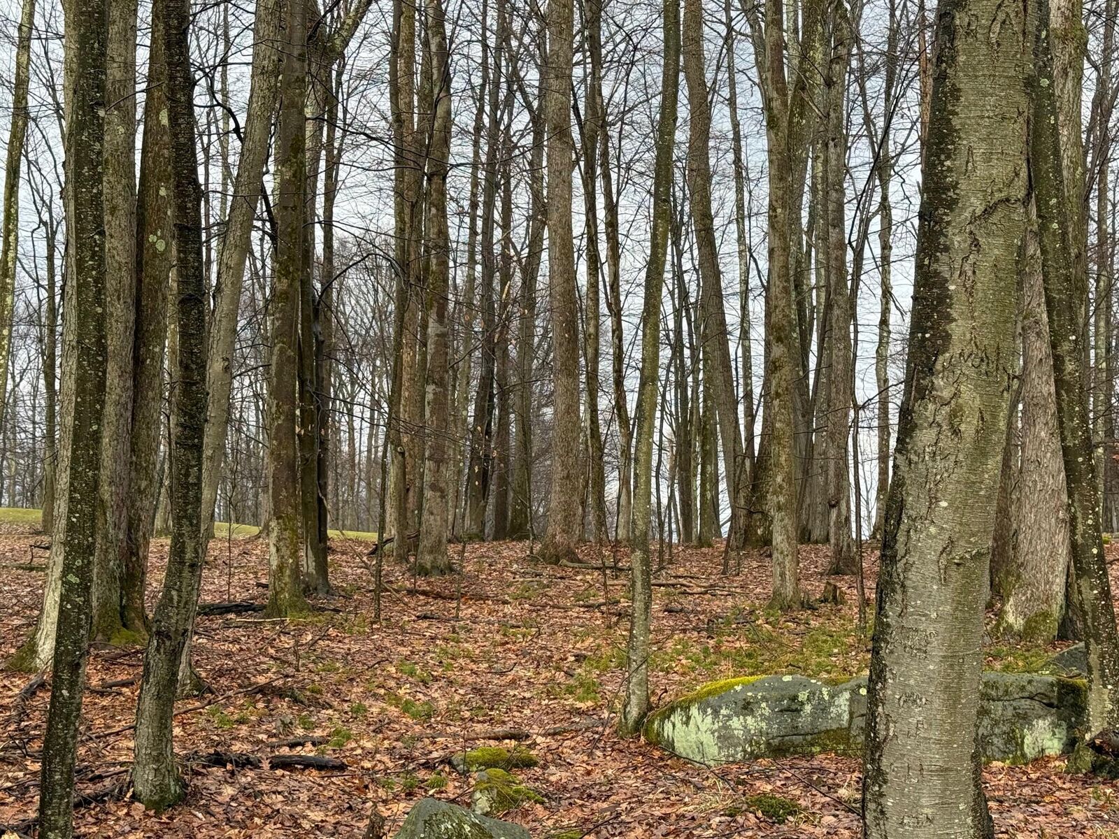 Property Photo:  17 Six Shillings Rd  PA 15801 