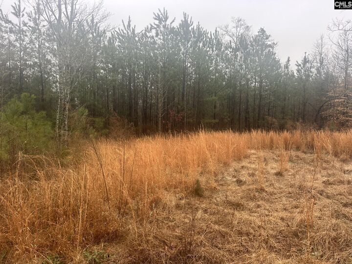 Property Photo:  0 Plantation Acres  SC 29108 