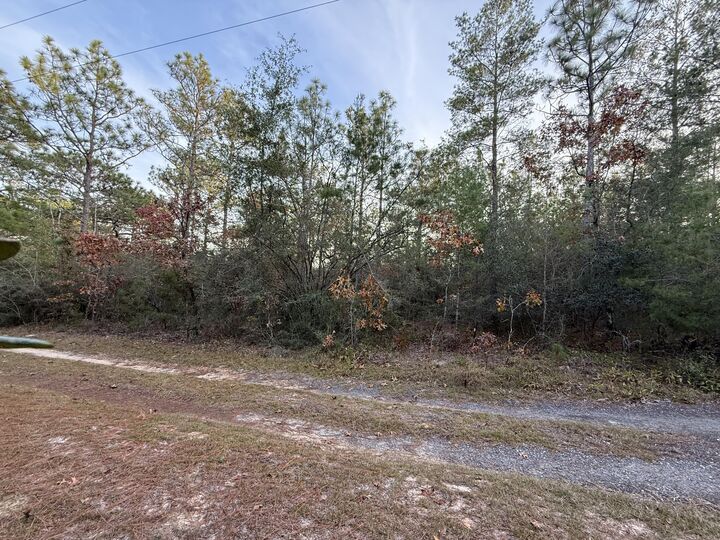 Property Photo:  Lots 9-11 Tangerine & Lot 2 Girl Scout  FL 32433 