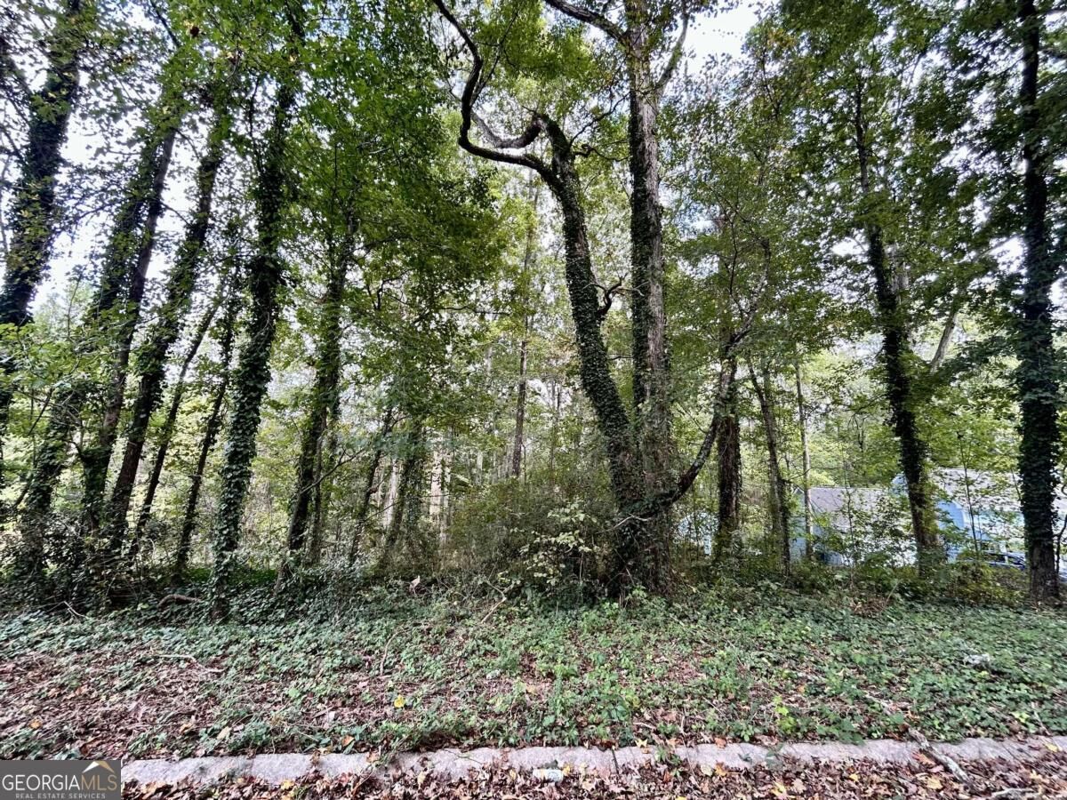 Property Photo:  3291 Chesterfield Court  GA 30039 