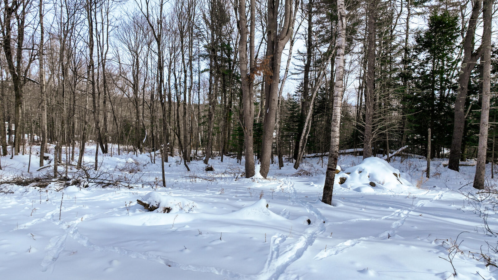 Property Photo:  20 Skyscraper Hill Road  ME 04921 