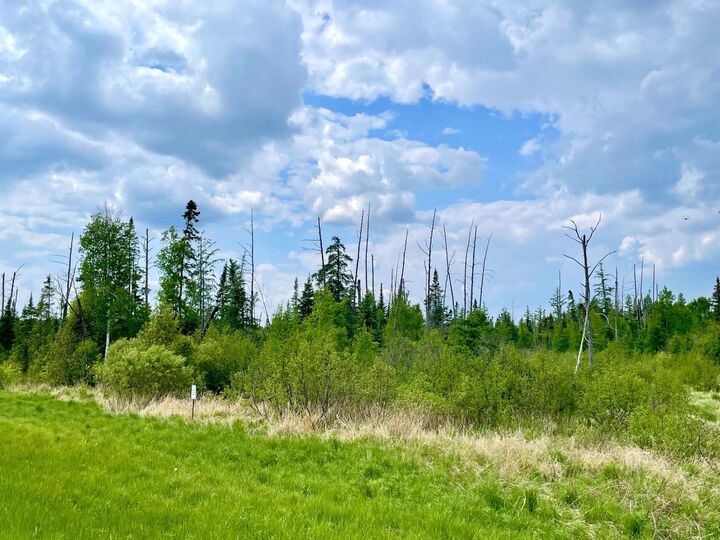 Property Photo:  Tbd N Plantangenet Road SE  MN 56601 