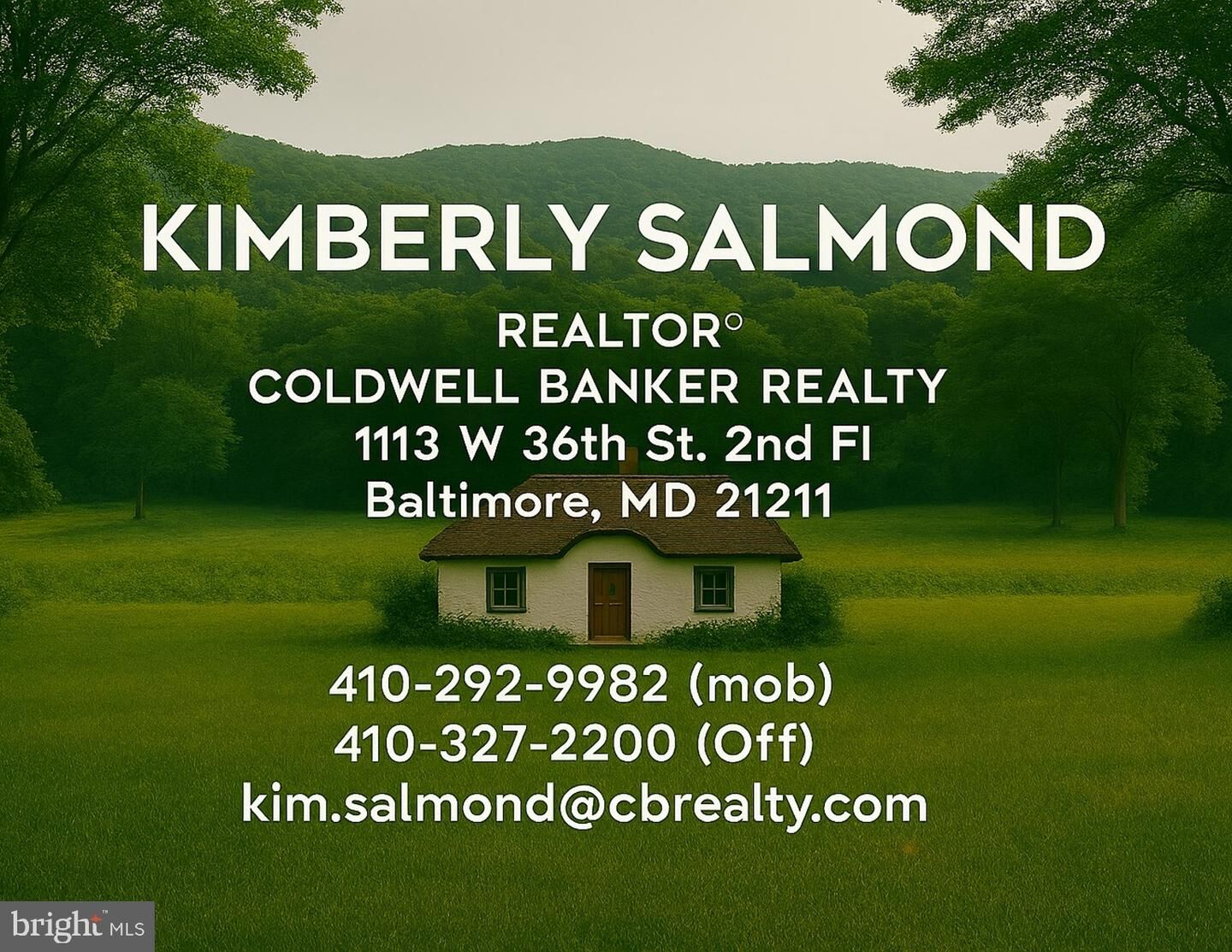 Property Photo:  4132 Woodhaven Avenue  MD 21216 