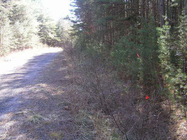 Property Photo:  977 Dell Lane  TN 38585 