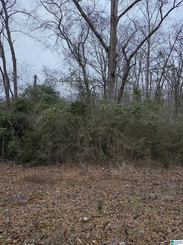 Property Photo:  322 Tucker Road None  AL 35160 