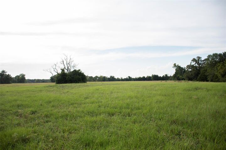 Property Photo:  1202 County Road 2255  TX 75844 