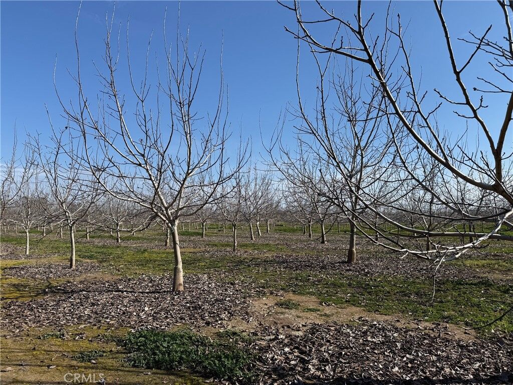 Property Photo: 0 McFadden Lane CA 95928