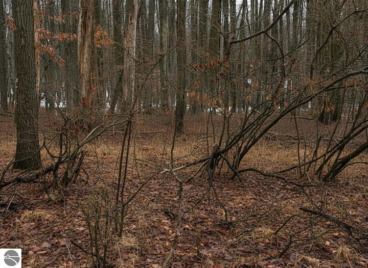 Property Photo:  Lot 40 Squirrel Run  MI 48622 