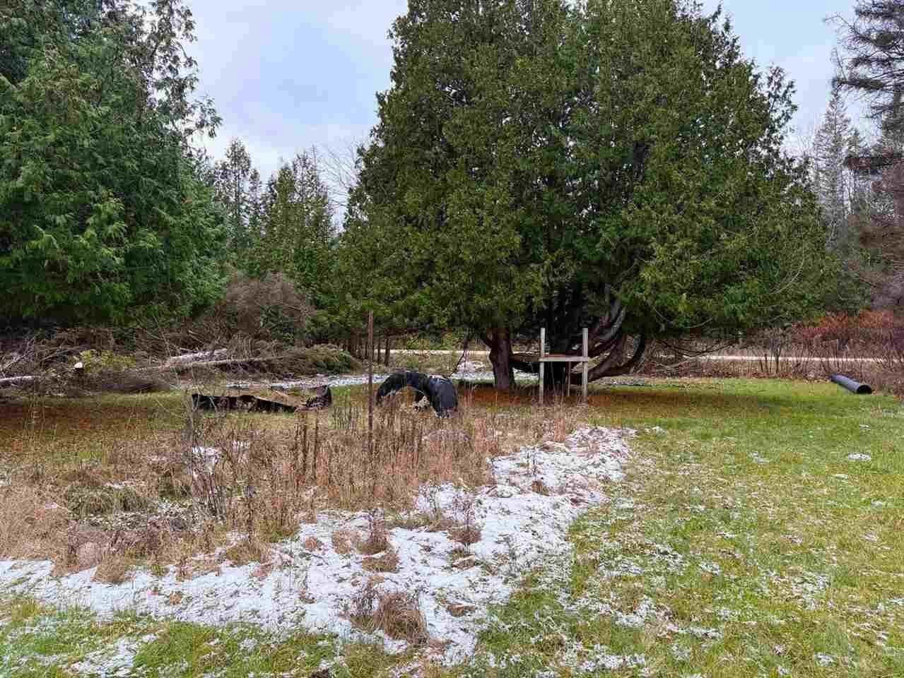 Property Photo:  4227 John Martin  MI 49760 