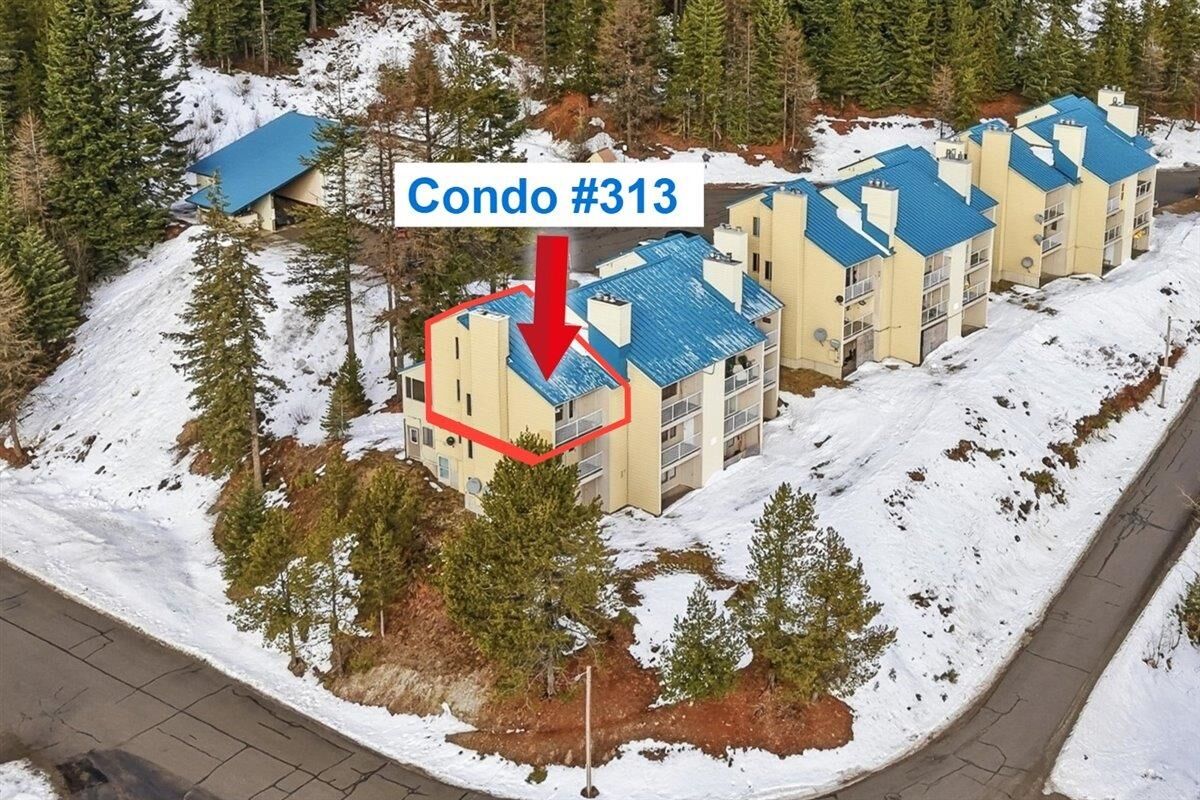 Property Photo:  28600 N Mt Spokane Park Dr #313  WA 99021 