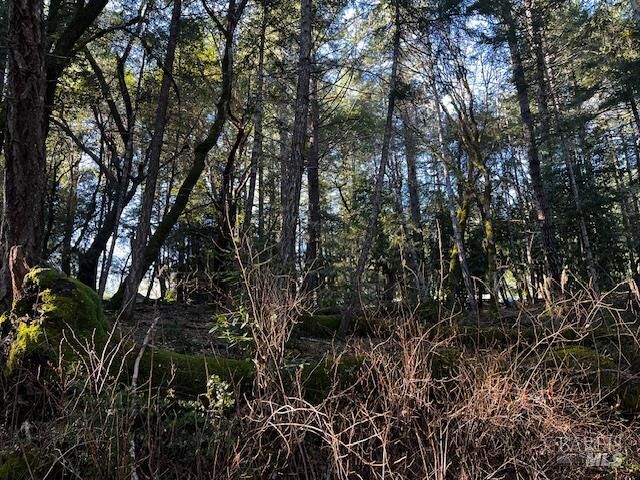 Property Photo:  24419 Cypress Drive  CA 95490 