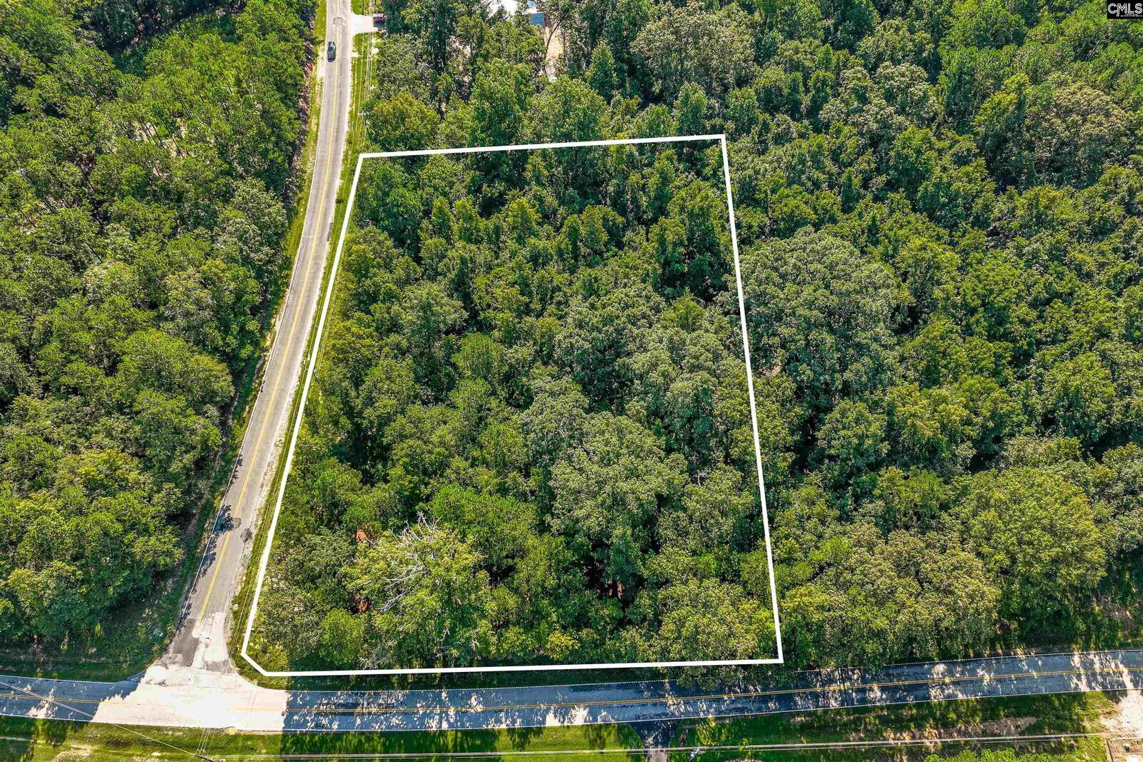 Property Photo: Lot 220 Granny Hill SC 29127