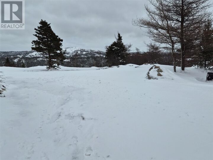 Property Photo:  325 Foxtrap Access Road  NL A1X 7N3 