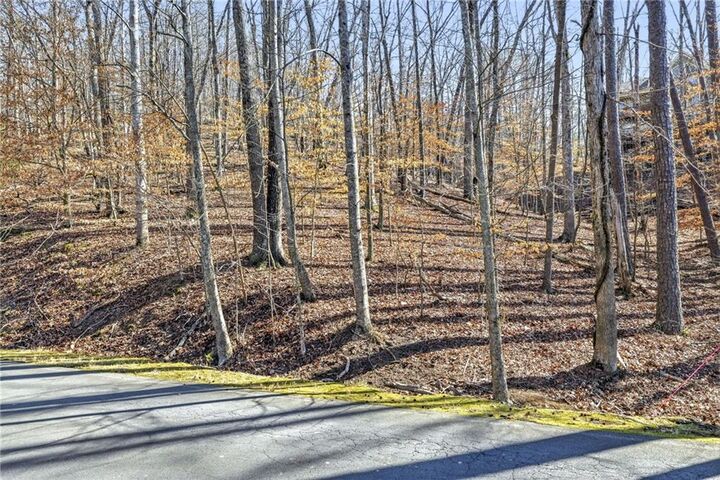 Property Photo:  285 Hillside Drive  GA 30183 