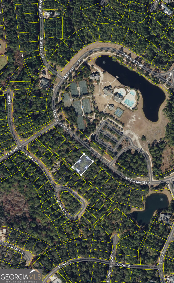 Property Photo:  306 Clubhouse Circle  GA 31558 