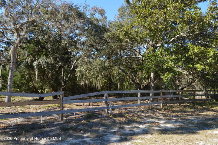 Property Photo:  18117 Branch Road  FL 34667 