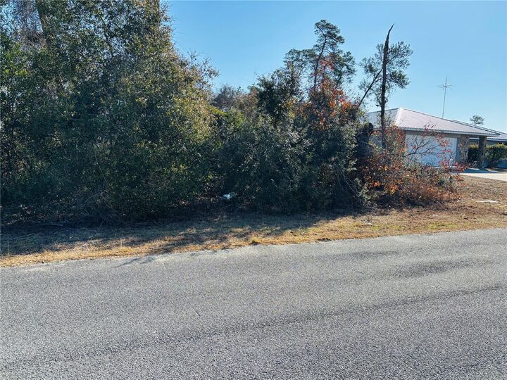 Property Photo:  0 SW 153rd Place Road 3  FL 34473 