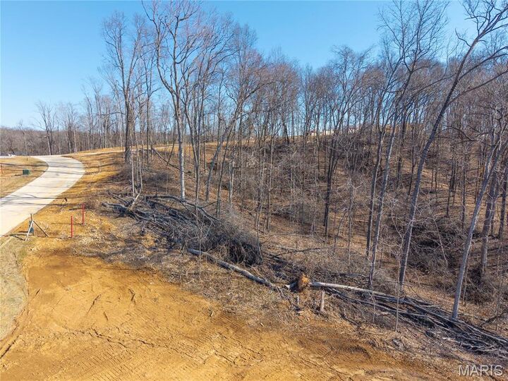 Property Photo:  Lot 6 Heritage Farm Lane  MO 63755 