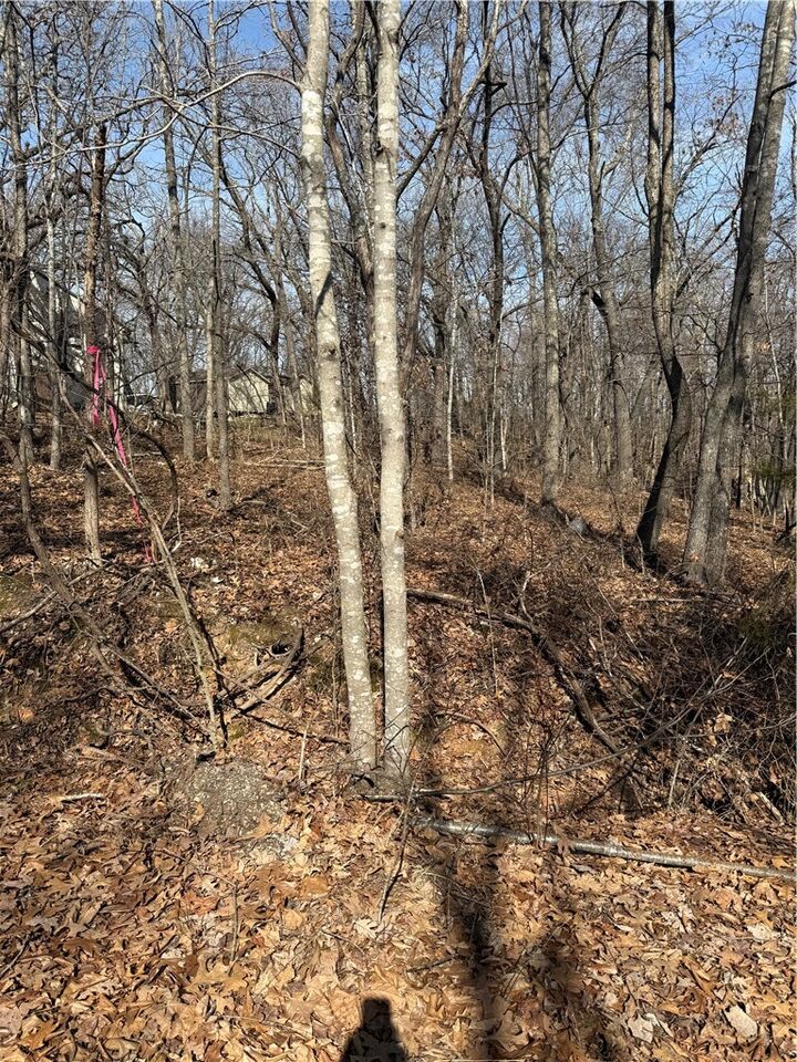 Property Photo:  11 Pamela Lane  AR 72715 