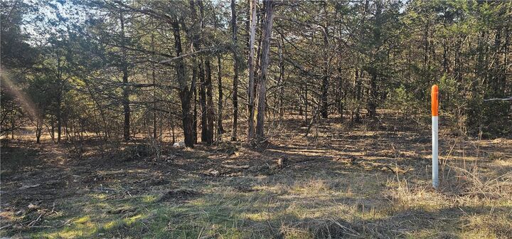 Property Photo:  E Mockingbird Trail  AR 72630 