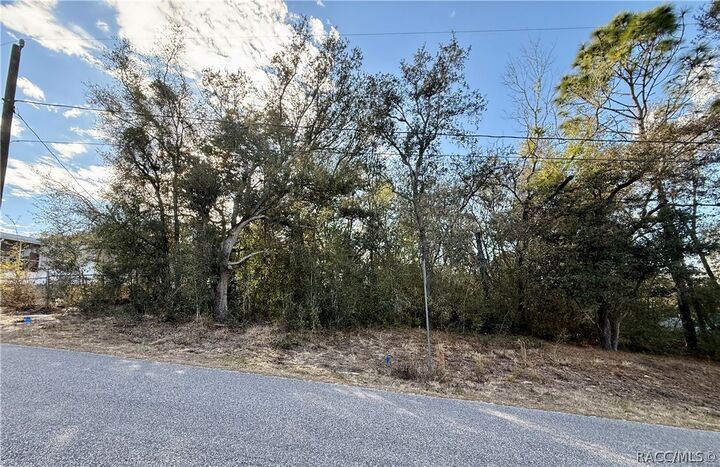 Property Photo:  94 N West Avenue  FL 34453 