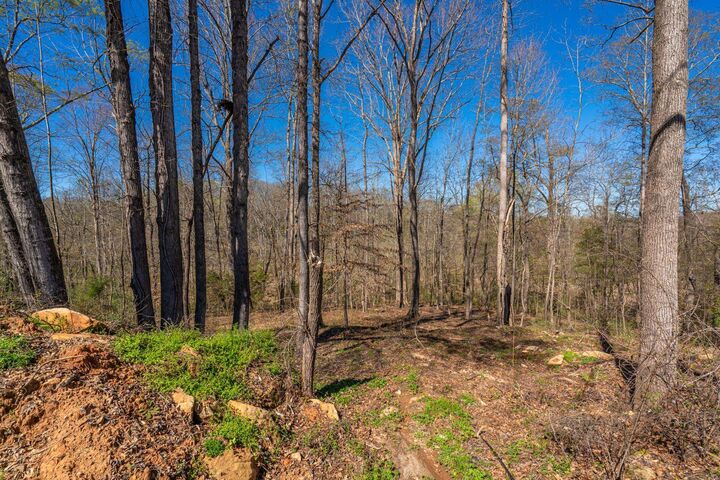 Property Photo:  5 Bagwell Place ***  SC 29302 