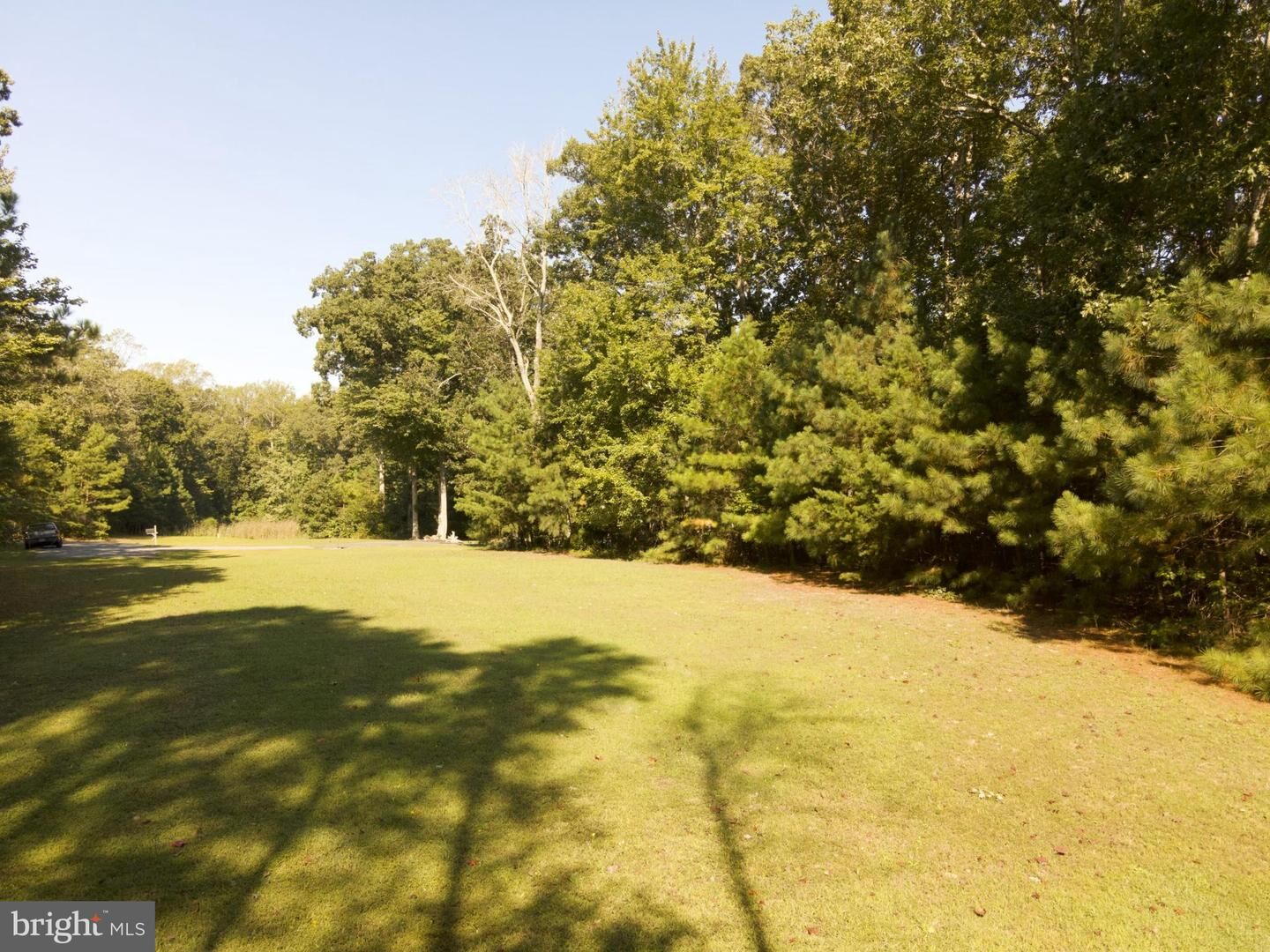 Property Photo:  28 Beto Lane  DE 19958 