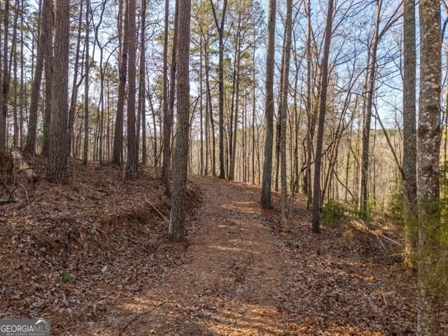 Property Photo:  1665 Hunter Drive 42  GA 30175 