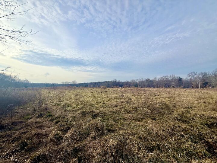 Property Photo:  0 County Road 800  AL 35966 
