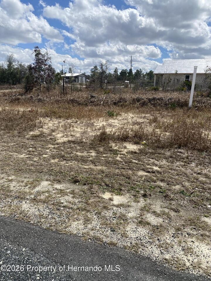 Property Photo:  0000 Thrasher Avenue  FL 34614 