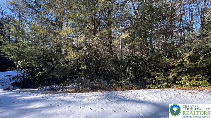 Property Photo:  0 Driftwood Drive  PA 18210 