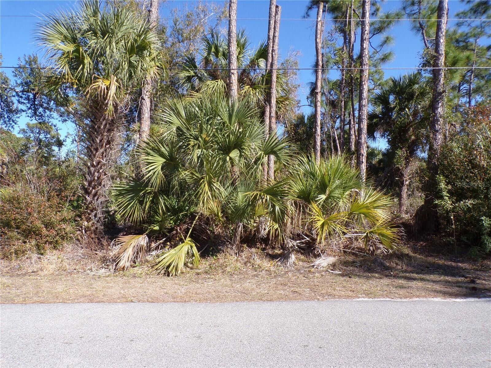 Property Photo: Merced Street FL 34288