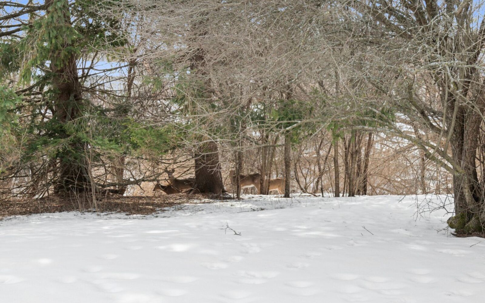 Property Photo: 945 W Heritage Ct 104 WI 53092