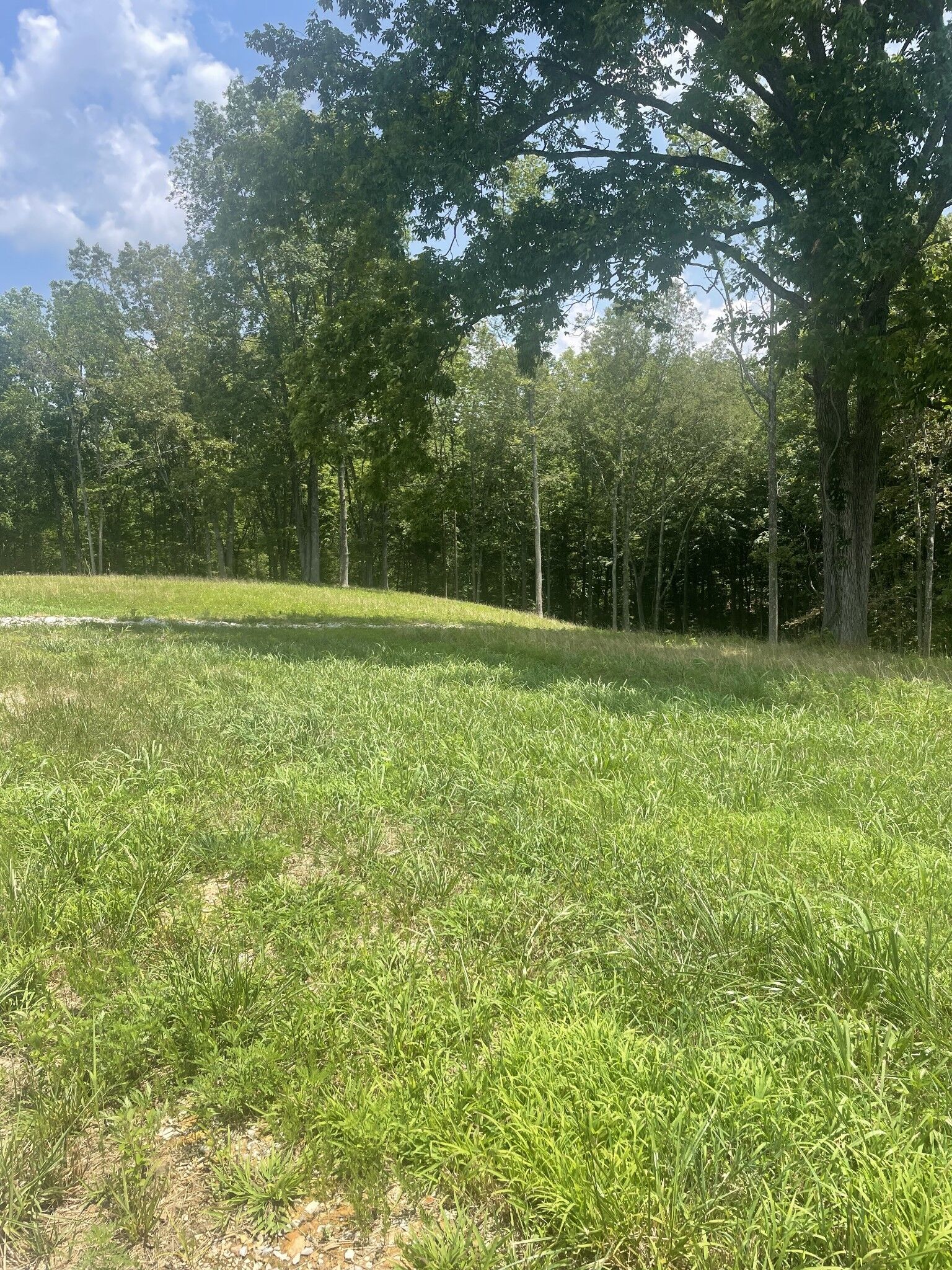 Property Photo: 0 Summerlake Ct TN 37398