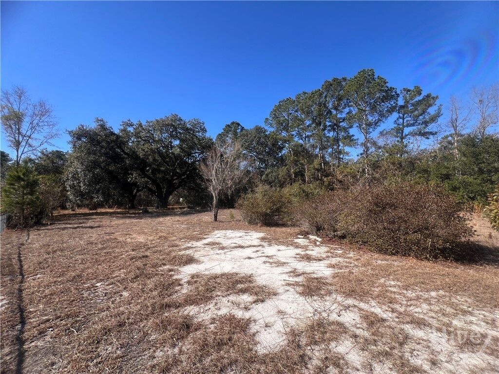 Property Photo:  145 Cherrie Murrell Street  GA 31313 