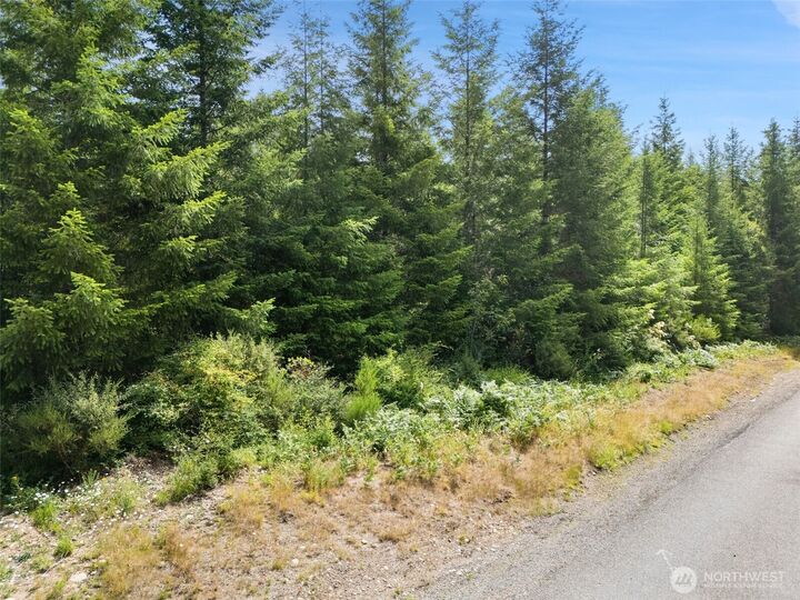 Property Photo: 0 Lot A W Satsop Road E WA 98541