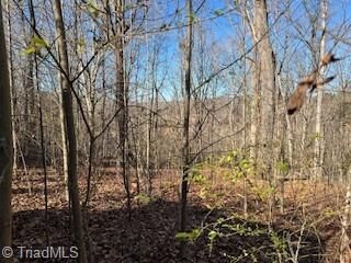 Property Photo:  3633 Shacktown Road  NC 27055 