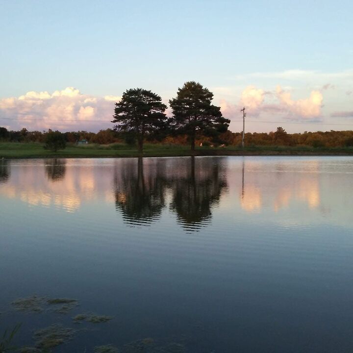 Property Photo:  Firestone Rd  OH 44235 