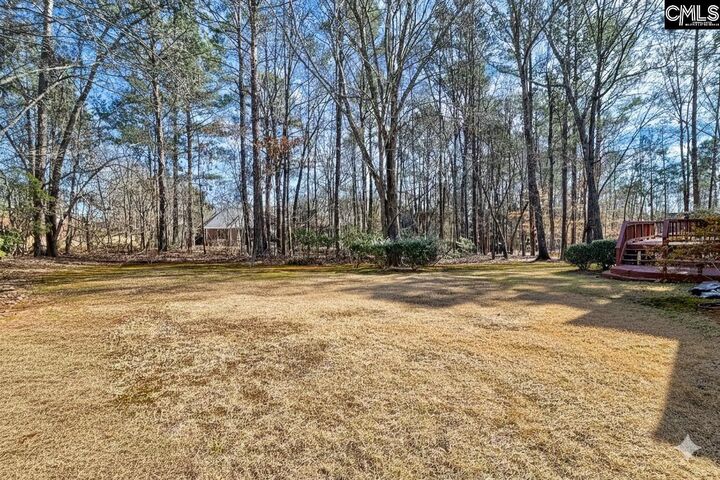 Property Photo: 1009 Steeple Ridge SC 29063