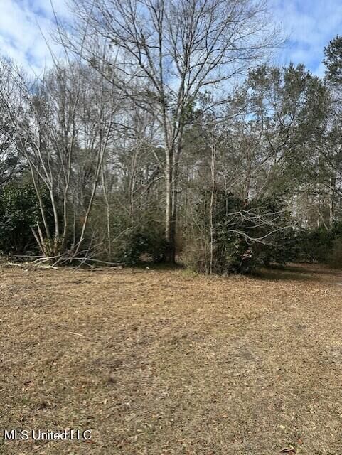 Property Photo:  Ms 53 Lot 1  MS 39503 