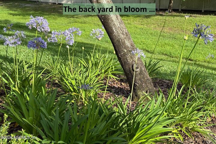 Property Photo:  96018 Woodmere Way  FL 32034 