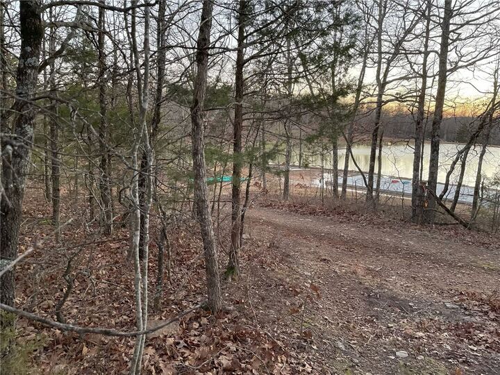 Property Photo:  Tbd 000 Plumlee Rd  AR 72611 