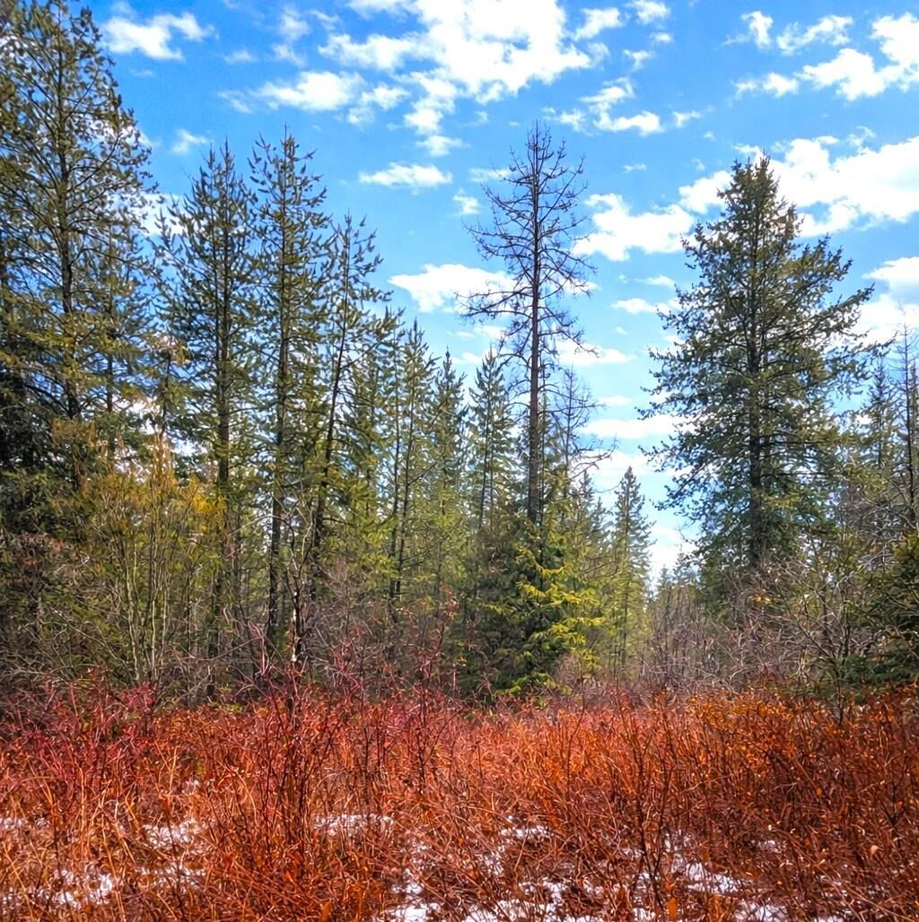 Property Photo:  43xx E Deer Lake Rd  WA 99148 