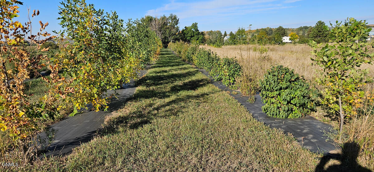 Property Photo:  On Country Lane  ND 58554 