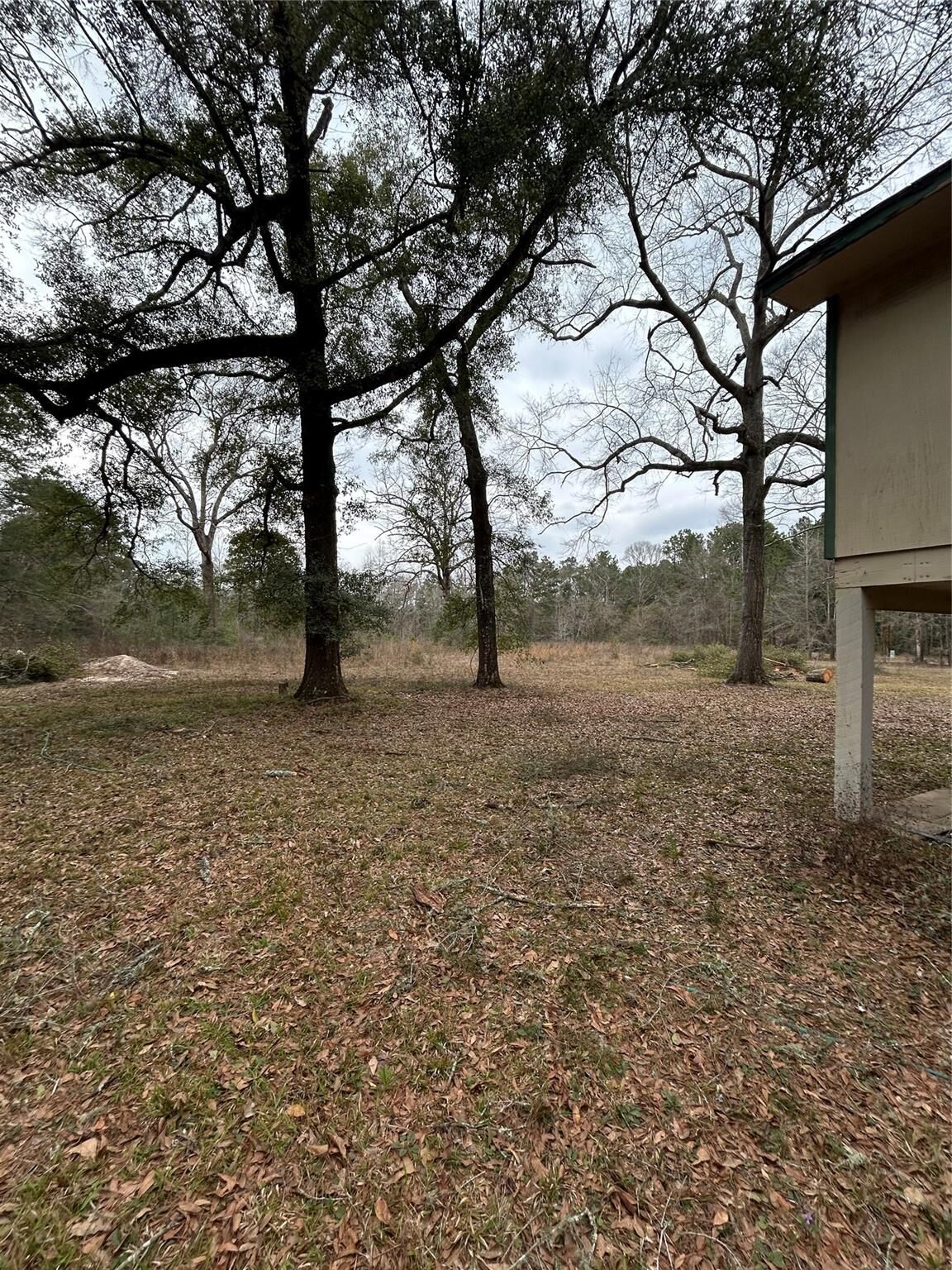 Property Photo: 0 Coleman Drive Drive TX 77372
