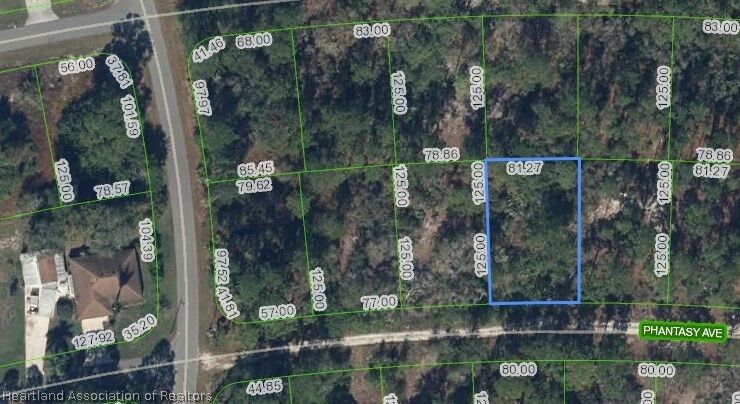 Property Photo:  264 Phantasy Avenue  FL 33852 