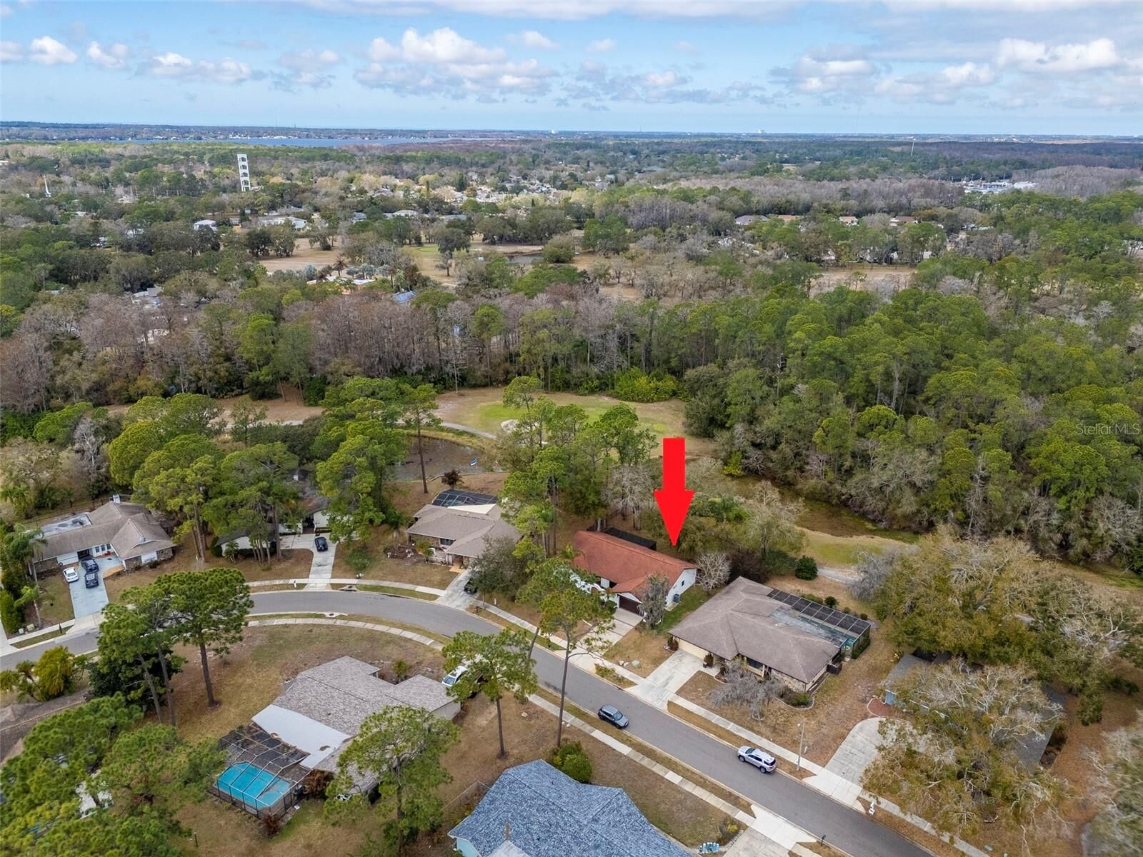 Property Photo:  2240 Toniwood Lane  FL 34685 