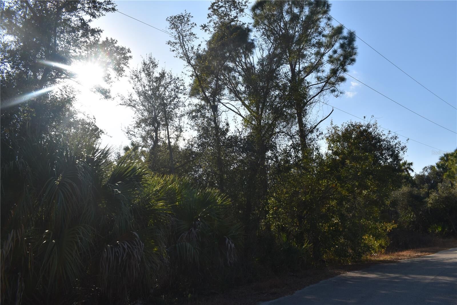 Property Photo: Corbett Lane FL 34288