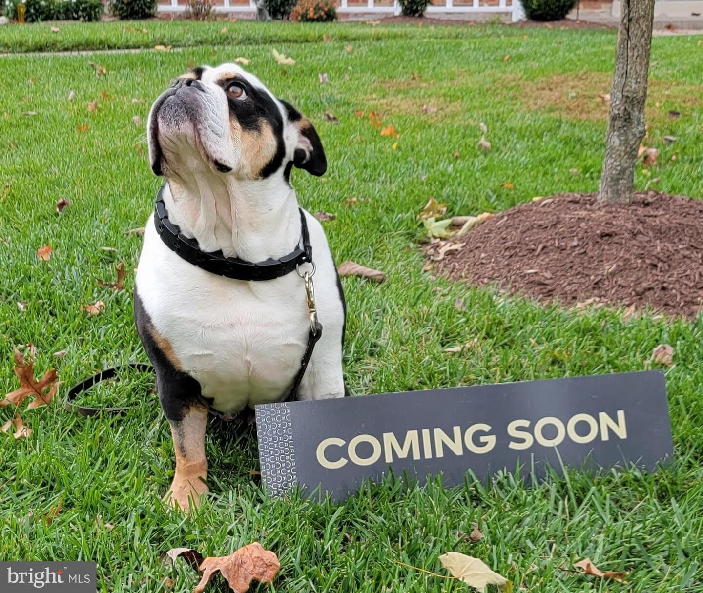 Property Photo:  5319 Saint Mawes Court  MD 21703 